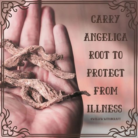 Angelica Magickal Tip #topicoftheday #todaysposts #angelica #angelicamagick #angelicamagickalproperties #magick #witchcraft #magickaltips #angelicaroot #angelicarootmagick #magickalproperties #flowermagick #themagickofflowers Angelica Root, Witching Hour, Nuts, Herbs, Fruit, Plants, Quick Saves