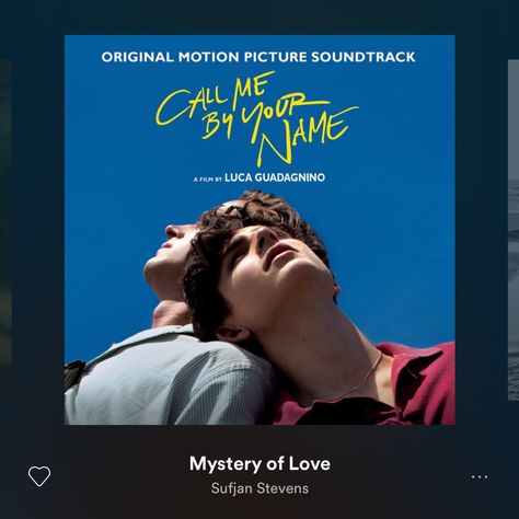 Somewhere In Northern Italy, Mystery Of Love, Name Songs, Top Albums, Sufjan Stevens, I Do Love You, Call Me By Your Name, 17 December, I Call You