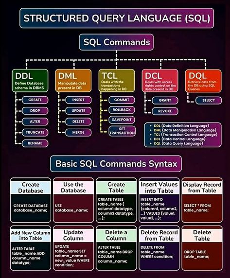 Database Developers Sql Cheat Sheet, Programming Basics, Sql Commands, Learn Sql, Data Science Learning, Learn Computer Science, Database Management System, Computer Basic, Coding Languages