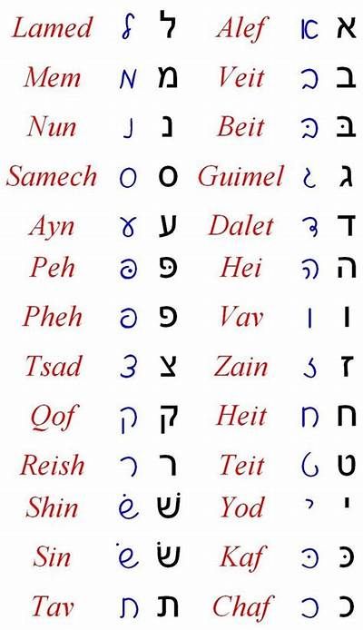 hebrew alphabet cursive - - Yahoo Search Results Hebrew Cursive, Sticker Chart Printable, Learn Hebrew Alphabet, Hebrew Language Learning, Alphabet Cursive, Hebrew Language Words, Hebrew Writing, Language Journal, Hebrew Lessons