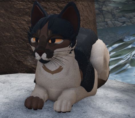 Simple Warrior Cats Oc, Warrior Cats Dog Oc, Warrior Cats No Gamepass Oc, Black Warrior Cats Oc Design, Brown Warrior Cat Oc, Wcue Morph Inspiration, Wcue Morph Ideas Brown, Warrior Cats Wcue Morph Ideas, Wcue Morphs Shorthair