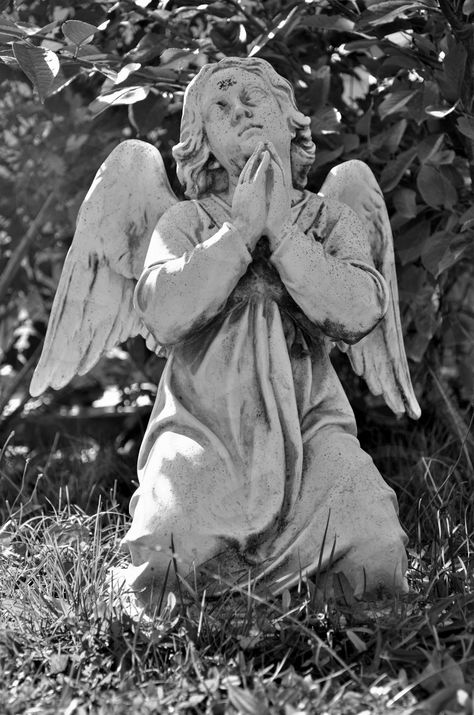 Stone Angel praying Angel Praying, Stone Angel, Cemetery Angels, Praying Angel, Angel Statues, White Garden, Child Baby, Midnight Sun, A Level Art