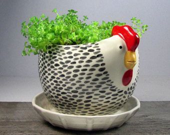 Ceramic chicken, Clay pinch pots ... Pottery Plant Pots, Chicken Ceramic, Pots Clay, Clay Pinch Pots, Pottery Pinch Pot, Ceramic Pinch Pots, Ceramic Chicken, Chicken Crafts, Planter Ceramic