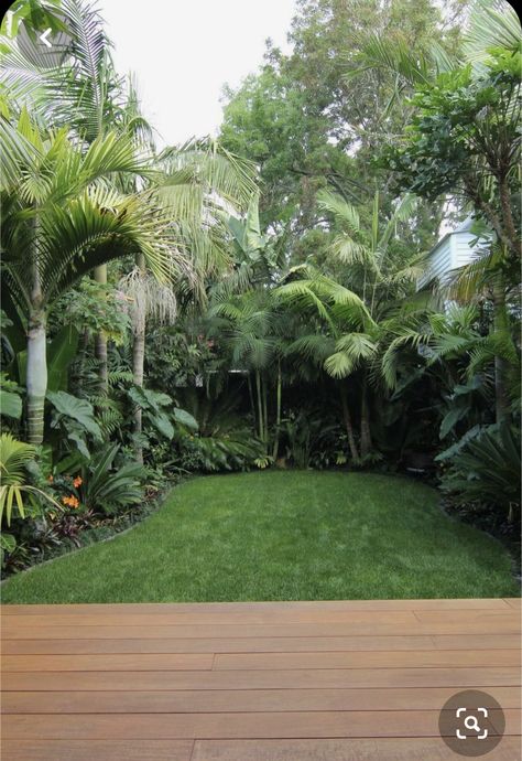 Diy Tropical Backyard, Tropical Side Garden, Tropical Garden Plants, Tropical Backyard Landscaping, Small Tropical Gardens, Moderne Have, Tropical Landscape Design, Large Backyard Landscaping, Build Design