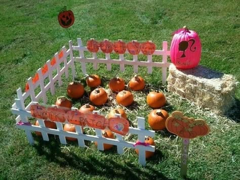 Jack O Lantern Birthday Party, Mini Pumpkin Patch Ideas, Pizza And Pumpkin Painting Party, Diy Pumpkin Patch, Mini Pumpkin Patch, Pumpkin Patch Diy, Pumpkin Patch Birthday Party, Pumpkin Painting Party, 35 Birthday