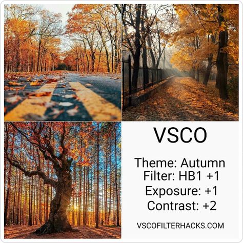 Autumn Filter, Filter Hacks, Filter Presets, Vsco Filter Free, Vibes Photography, Vsco Filter Instagram, Vsco Themes, Vsco Tutorial, Best Vsco Filters