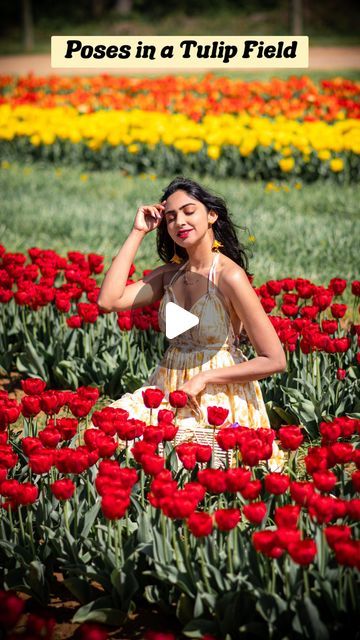 Posing Tips, Tulip Fields, Cute Poses, Poses For Pictures, Photo Tips, Photo Poses, Tulips, Instagram