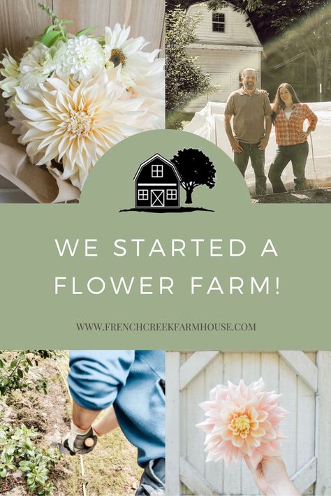 How To Become A Flower Farmer, Flower Farm For Beginners, How To Start A You Pick Flower Farm, Flower Farm Logo Design Ideas, Start A Flower Farm, Floret Flower Farm, Flower Farming For Beginners, Flower Farm Photoshoot Ideas, Backyard Flower Farm