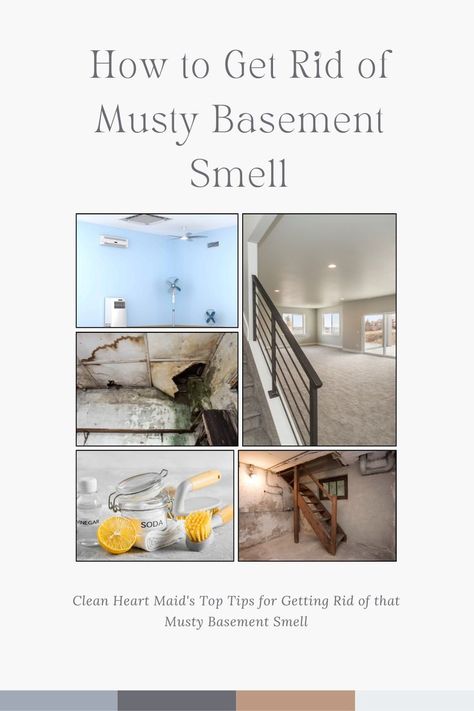 Check out our top tips on how to get rid of that musty basement smell! A step-by-step guide awaits you and tips for preventing the musty smell from returning. Cleaning Organizing, Household Hacks, Top Tips, Basement, Step By Step