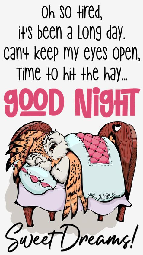 Oh so tired, it's been a long day. Can't keep my eyes open, time to hit the hay... Good Night Sweet Dreams! Inspirational Good Night Messages, Sweet Dreams Sleep Tight, Good Night Blessings Quotes, Funny Good Night Quotes, Quotes Good Night, Good Night Sleep Well, Good Night Cat, Good Night Prayer Quotes, Beautiful Good Night Quotes