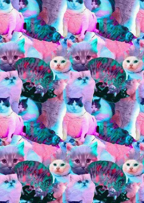 Trippy Cat, Cat Background, Psy Art, Hipster Wallpaper, Cats Iphone, Magical Art, Wallpaper Pattern, Tumblr Wallpaper, Pink Iphone