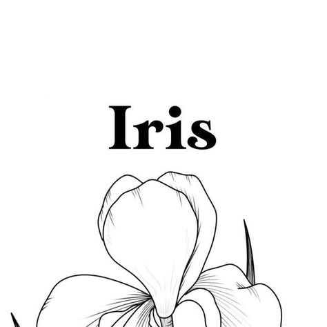 Rachael 🌱 Floral Artist on Instagram: "Draw an Iris in 4 easy steps! 

Iris’ are a tricky flower for me. Any flower that isn’t a traditional circular shape with predictable pattern petals can make my crazy brain spin! 

So it’s taken a while to breakdown and understand the anatomy of a flower like the Iris. 

Study after study, thrown away sketch after thrown away sketch, all that time spent with these pretty ladies. 

Sometimes it can feel frustrating to work for so long at something,  but if you can pull your head out of it for a second, take a step back and see how far you’ve come, you wouldn’t feel like giving up. 

So if you can’t see how far you’ve come today, allow me to see it for you and allow me to tell you DONT GIVE UP.  Keep creating, keep spending time with your art. 

You’ve Anatomy Of A Flower, Spending Time With You, Feel Like Giving Up, Flower Sketches, Feeling Frustrated, Take A Step Back, Don't Give Up, Easy Steps, Easy Step