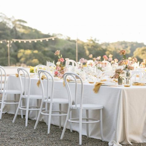 White Bentwood chairs work so well for a clean crisp look. Bistro Chairs Wedding, White Chairs Wedding, Linen Tablecloth Wedding, White Metal Chairs, Styled Shoot Wedding, Chairs Wedding, Beach Wedding White, White Cafe, Love Birds Wedding