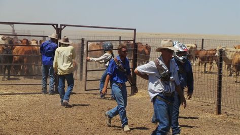 Will the real cattle station please stand up – Central Station Cattle Station, Cowboy Life, Big Farm, Harsh Words, Used Bikes, People Running, Gap Year, Central Station, Country Life