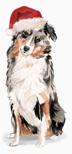 Australian Shepherd Christmas, Holiday Dog, Christmas Phone Wallpaper, Shetland Sheepdog, Dog Holiday, Pink Paper, Dog Paintings, Christmas Animals, Australian Shepherd