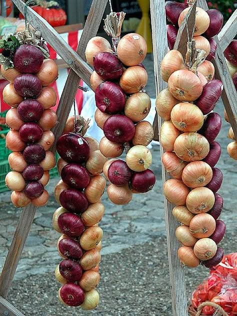 Neat onion braids. There are no instructions, but looks like there are sticks/a branch as the center support, w each onion tied on individually.  Very beautiful display & well-organized! Braided Onions, Onion Braid, Farmers Market Display, Growing Onions, Herb Farm, Root Cellar, Market Garden, Veg Garden, Farm Stand