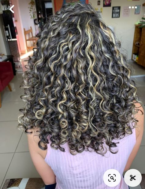 Platinum Highlights, Highlights Curly Hair, Grey Highlights, Dyed Natural Hair, Hair Inspo Color, Curly Hairstyles, Hair Highlights, Hair Goals, Dyed Hair