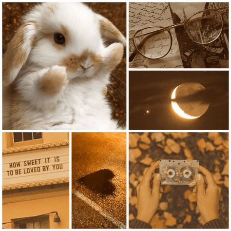 All images come from pinterest Moodboard made by: Ana356 on TH Bunny Moodboard, Animal Moodboard, Pinterest Moodboard, Object Oc, Oc Things, Idol Life, Moodboard Inspo, Adopt Idea, Moodboard Aesthetic