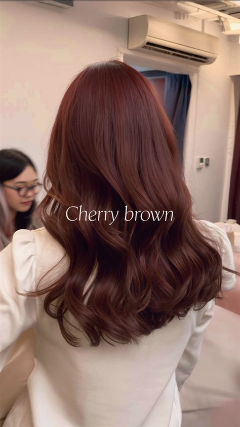 Discover trendy ideas for spring hair colors 2025 featuring vibrant palettes for brunettes, soft highlights, and bold shades. From trendy hair colors for brunettes to light and dark tones, these styles suit every skin tone and add a fun twist to your look. Hair Colors That Grow Out Well, Rustic Brown Hair Color, Red Brown Shag Hair, Popular Korean Hair Color, Medium Brown Red Hair Color, Cool Tone Red Brown Hair, Hair Color Inspo For Brown Skin, Subtle Cherry Red Hair, Dyed Hair Inspo For Brunettes