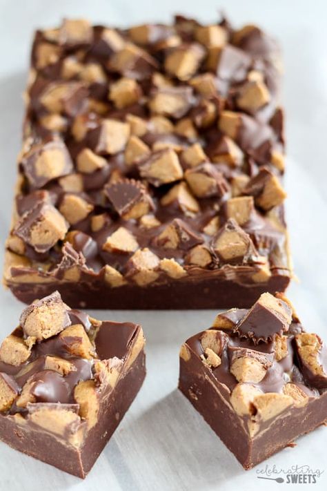 Fudge topped with peanut butter cups. Fudge Desserts, Quick Fudge, Peanut Butter Cup Fudge, Creamy Chocolate Fudge, Fudge Dessert, Healthy Peanut Butter Cups, Peanut Butter Cups Recipe, Gourmet Hot Chocolate, Fudge Bars