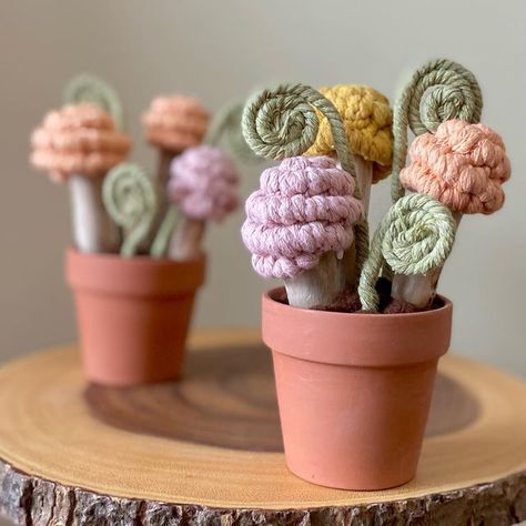 Cottagecore Macrame, Macrame Mushroom, Spring Macrame, Flowers Macrame, Cactus Macrame, Macrame Studio, Macrame Flowers, Wire Knitting, Macrame Knots Pattern