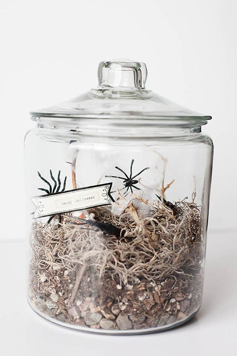 DIY Spooky Halloween Terrarium Halloween Centerpieces For Table, Diy Halloween Centerpieces, Halloween Terrarium, Halloween Homecoming, Halloween Centerpieces, Diy Halloween Dekoration, Halloween Table Centerpieces, Clever Halloween, Halloween Party Dinner