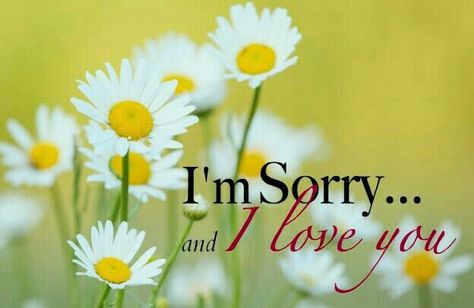 "I'm Sorry...and I love you!" Im Sorry Quotes, Sorry I Hurt You, Over Tired, Sorry Quotes, Yelled At, And I Love You, We All Make Mistakes, Real Moms, Awesome Quotes