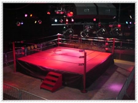 The greatest wrestling ring package in the world is a PRO Wrestling Ring. Description from permmabilt.com. I searched for this on bing.com/images Wrestling Ring Aesthetic, Pro Wrestling Aesthetic, Wrestling Background, Wrestling Aesthetic, Security House, Wwe Birthday Party, Boxing Rings, Watch Wrestling, Game Of Love