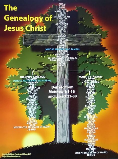 Dawning Genealogy: Advent Calendar of Christmas Memories - The Genealogy of Jesus the Messiah #genealogy #familyhistory Jesus Family Tree, Bible Genealogy, Genealogy Of Jesus, Bible Timeline, Genealogy Chart, Bible Study Topics, Lincoln Logs, Genealogy Free, Bible History