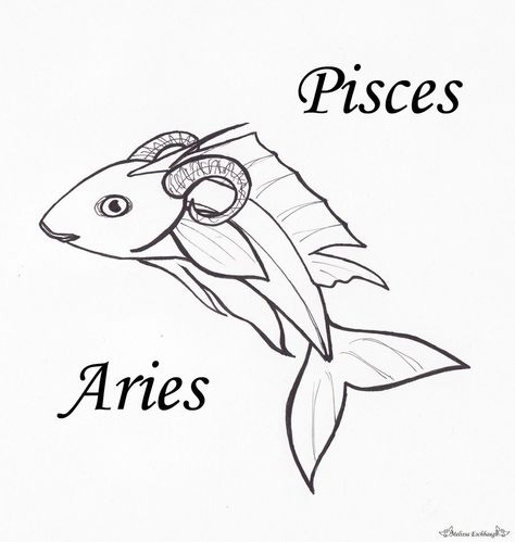 Pisces Aries by Adrastia217.deviantart.com on @deviantART Aries And Pices Tattoo Together, Aries And Pisces Friendship, Aries Pisces Cusp, Pisces Constellation Tattoo, Pisces Tattoo Designs, Zodiac Cusp, Pisces Constellation, Aries Zodiac Facts, Aries And Pisces