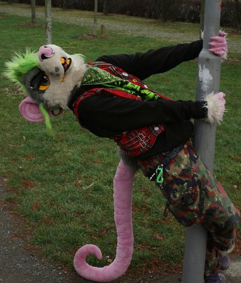 Partial Fursuit Outfits, Reptile Fursuit, Zombie Fursuit, Snake Fursuit, Opossum Fursuit, Rat Fursuit, Possum Fursuit, Cow Fursuit, Cool Fursuits