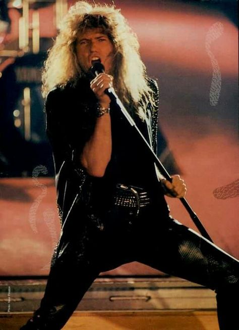 Whitesnake Band, Still Of The Night, David Coverdale, Hair Metal Bands, Joey Tempest, Simply White, Band Photos, Heavy Metal Bands, Blues Rock