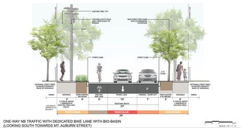 Street Section, Road Section, Street Scape, Urban Spaces Design, Streetscape Design, Drainage Design, Urban Analysis, Urban Design Diagram, Design Diagram