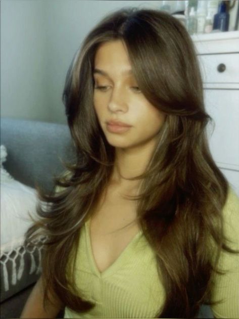 Straight Hair Blowout Long Hairstyles, Brunette Straight Layered Hair, Normal Haircut Women, Latina Haircuts Long, Long Dark Brown Hair Layers, 90s Layered Hair Unstyled, Long Brown Hair Long Layers, Long Haircut Balayage, Long Brunette Blowout