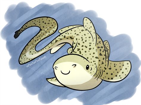 Zebra Shark Zebra Shark Drawing, Zebra Shark, Shark Drawing, So Sleepy, Sharks For Kids, Shark Art, It Doesn't Matter, Aquatic Animals, Shark Week