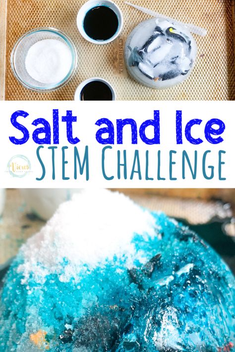 Penguins Crafts, Stem Activity For Kids, Winter Stem Activities, Winter Science Experiments, Stem Activities Preschool, Frozen Crafts, Winter Science, Crafts Simple, Winter Activities Preschool