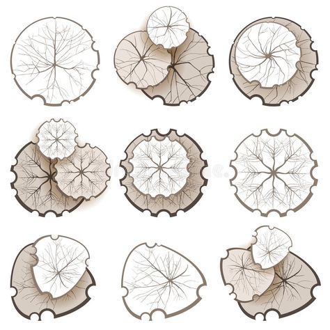 Trees - top view royalty free illustration Tree Plan Png, Architectural Trees, Trees Top View, Tree Photoshop, Tree Plan, Rustic Apartment, Tree Textures, Landscape Sketch, Vector Trees