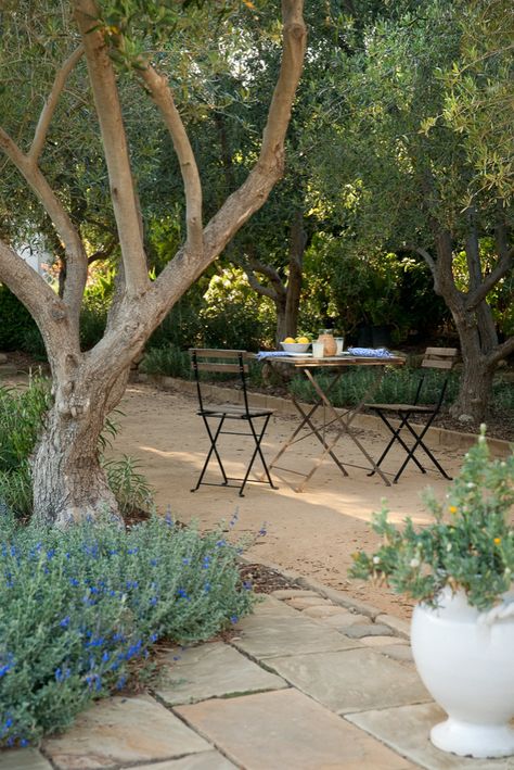 Mediterranean Patio Ideas, Mediterranean Cottage, Mediterranean Backyard, Mediterranean Patio, Cottage Backyard, Estate Garden, Mediterranean Landscaping, Gravel Garden, Backyard Lighting