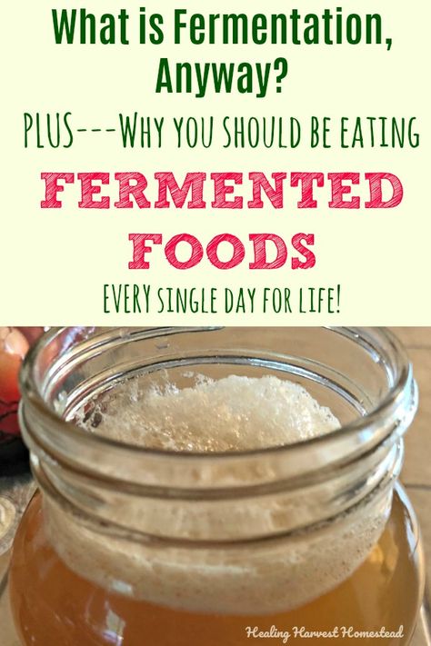 Tomato Nutrition, Calendula Benefits, Food For Digestion, Lemon Benefits, Coconut Health Benefits, Probiotic Foods, Benefits Of Coconut Oil, Eating Raw, Fermented Foods