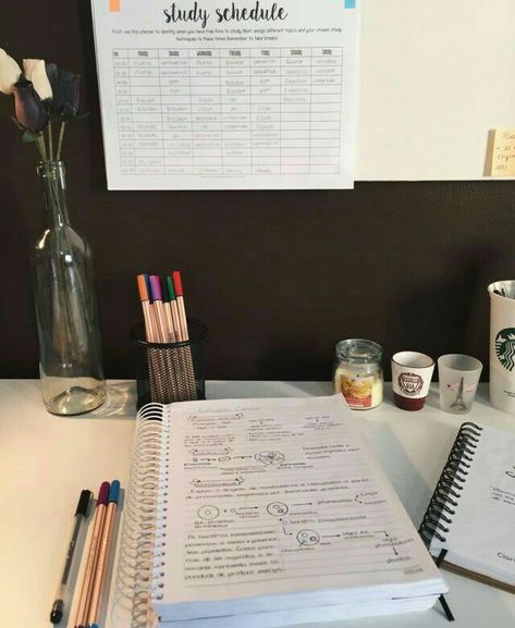 ✨Pinterest: foreveryoung578✨ Study Schedule, Study Organization, Study Methods, Studying Life, Notes Inspiration, College Study, Study Habits, School Study Tips, Study Space