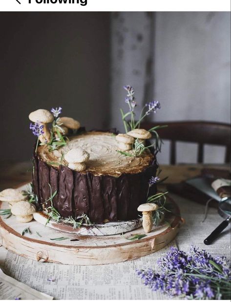 Woodsy Cake, Forest Wedding Cake, Forest Theme Cakes, Hobbit Cake, Wedding Cake Forest, Stump Cake, Magical Food, Mushroom Cake, Fairytale Birthday