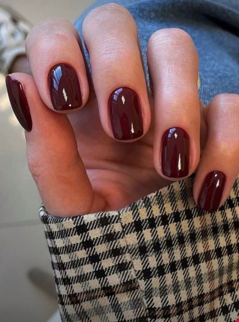 Dark Red Brown Nail Polish, Shellac Nails Fall Autumn, Burgundy Biab Nails, Deep Merlot Nails, Maroon Shellac Nails, Dark Red Squoval Nails, Deep Red Short Nails, Mulled Wine Nails, Maroon Dip Powder Nails