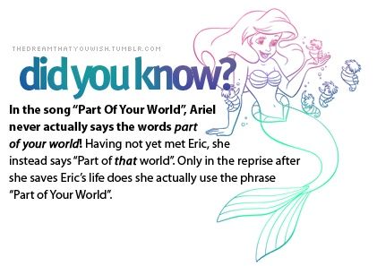 The Little Mermaid fact Mermaid Facts, Part Of Your World, How To Believe, Disney Secrets, Unknown Facts, Disney Fun Facts, Prince Eric, Disney Songs, Disney Facts