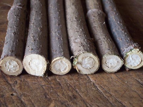 Wood Sticks Crafts, Woodturning Videos, Sambucus Nigra, Elder Wand, Woodturning Tools, Wood Supply, Wood Craft Projects, Wood Branch, Wood Turner