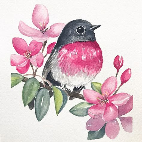 Pink Robin, Bird Watercolor Art, Pink Drawing, Bird Watercolor Paintings, Watercolor Flowers Tutorial, Bird Watercolor, Watercolor Birds, Bird Paintings, Watercolor Paintings Easy