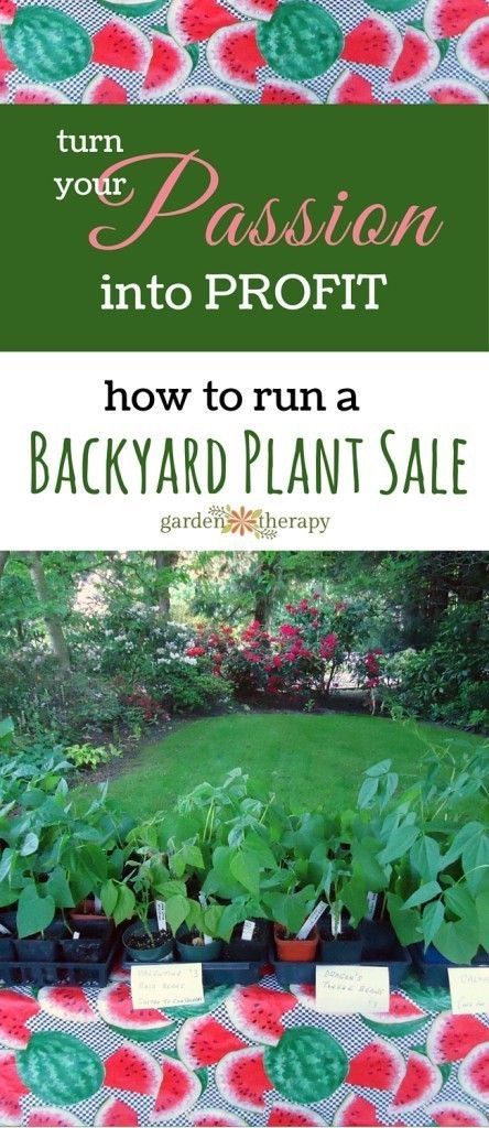 Garden Therapy, Backyard Garden Layout, Landscaping Business, Backyard Plants, Growing Business, Greenhouse Plans, Market Garden, Green Tips, Gardening Advice