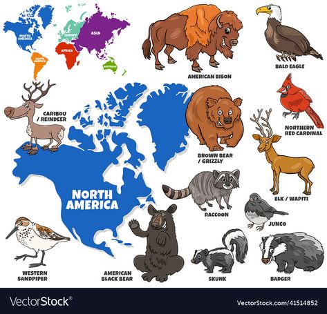 World Map With Continents, World Map Continents, North American Animals, Science Experiments For Preschoolers, Educational Illustration, Map Murals, Montessori Practical Life, American Animals, Daycare Activities