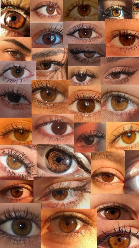 Russet Eyes Color, Brown Eyes Girl, Ariana Core, Pretty Eyes Color, Hazel Brown Eyes, Rare Eye Colors, Brown Eyes Aesthetic, Eye Color Chart, Beautiful Eyes Color