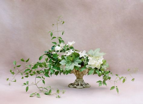 Round Wedding Tables, Table Floral Arrangements, White Floral Arrangements, Green Centerpieces, Table Arrangements Wedding, Flowers And Greenery, Simple Centerpieces, Wedding Table Flowers, Flowers Arrangements