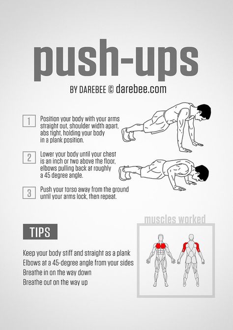 Then learn exactly how to actually do a real push-up. | 16 Super-Helpful Charts That Teach You How To Actually Work Out Push Up Guide, Hip Fat Loss, Minimalist Workout, Leg Press Machine, Push Up Workout, Workout Plan For Beginners, Push Up Challenge, Workout Chart, Push Ups